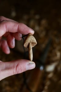 Image 4 of Oak wood Magic Mushroom Pendant-