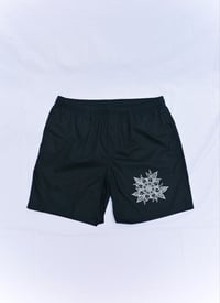 Image 1 of SS24 beach shorts 