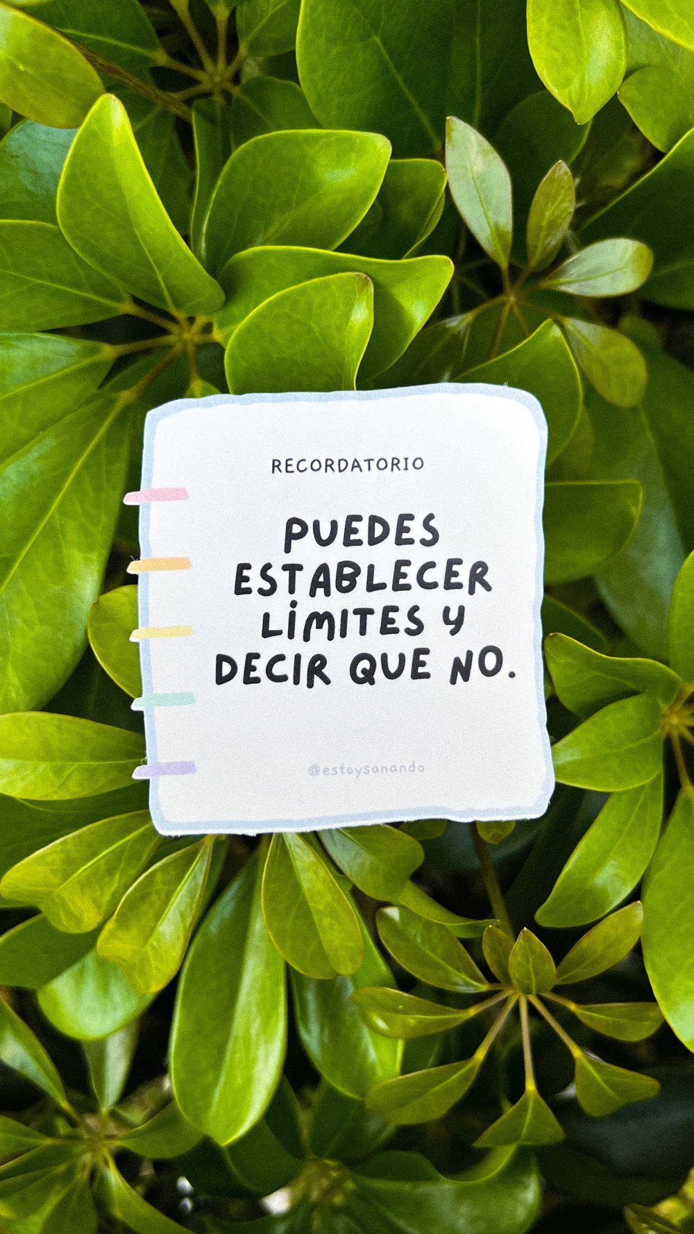 Establecer Límites - Sticker