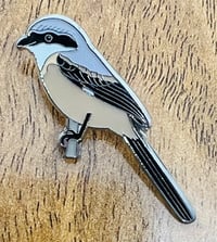 Image 2 of Long-tailed Shrike - No.191 - UK Birding Pins