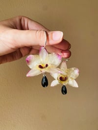💛Dendobrium Orchids with Crystals💛 Silver 