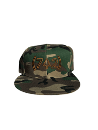 Image 3 of SNAPBACK