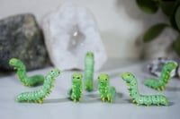 Image 1 of Caterpillars
