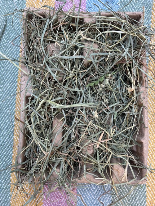 Image of Recycled deep tray filled with mixed dried forage *limited stock!*