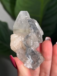 Image 2 of BOWTIE STILBITE X DIAMOND APOPHYLITE -INDIA- F