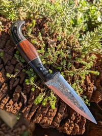 Image 2 of CUSTOM FIGHTER
