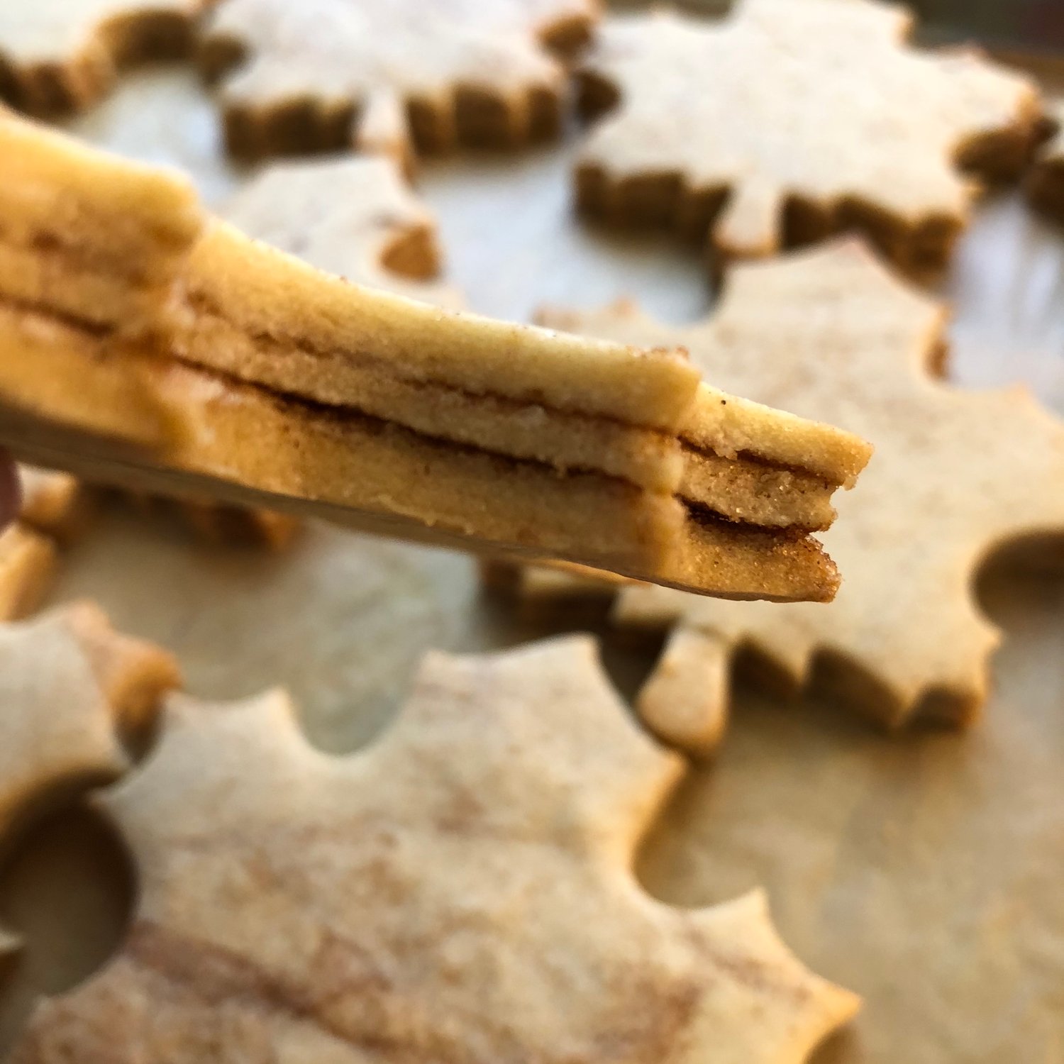 Image of Fall Cookie Box