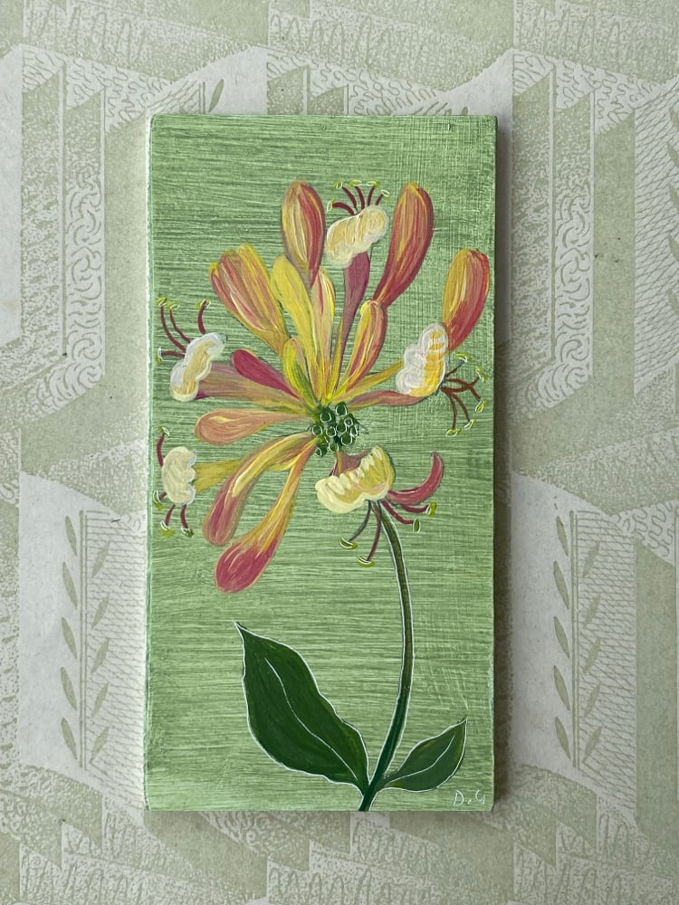Image of Honeysuckle
