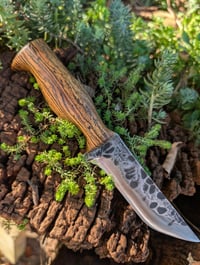 Image 1 of BOCOTE TANTO
