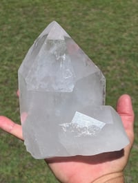 Image 14 of Clear Quartz Points Cluster #1187