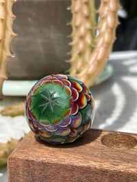 Image 8 of star marb