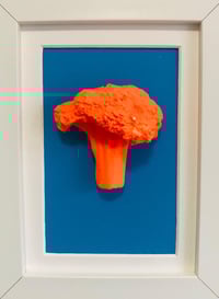 The tango broccoli 