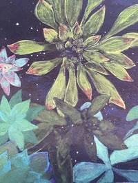 Image 1 of Succulents at Night A Fine Art Print 9”x 12” 