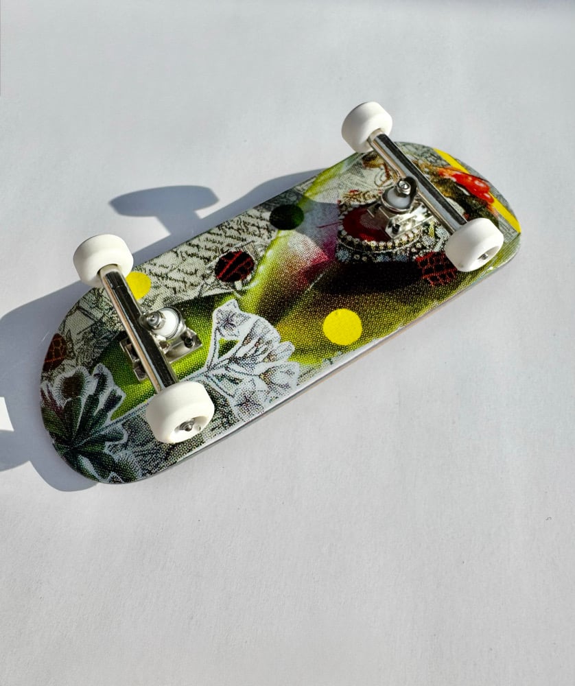 Image of Venus Flytrap complete