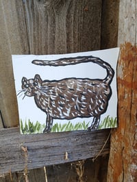 Image 5 of Cat