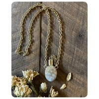 Image 1 of Fossilized Coral and Solid Brass Vessel Necklace 