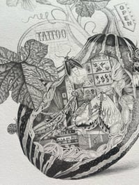 Image 3 of Cucurbita Tinctus Print