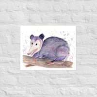 Awesome Opossum Print