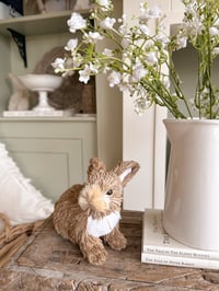 Image 2 of SALE! Bristle Bunny