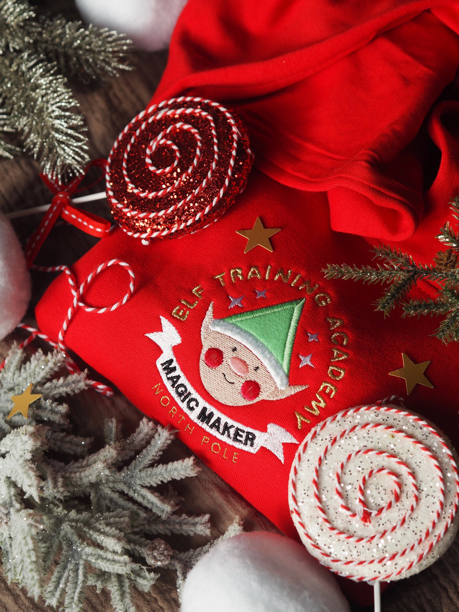 Image of Elf Training Academy - Red Hoody