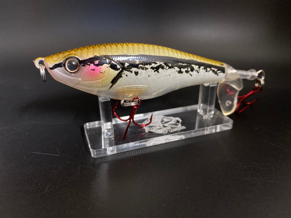 Bleeding Shiner Plopper