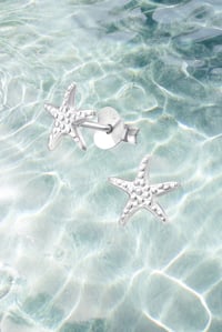 Image 5 of SEA STAR STUDS 