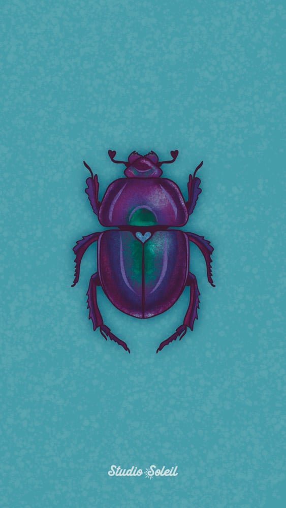 Image of Beetle 4x6 Print
