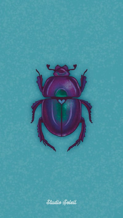 Image of Beetle 4x6 Print