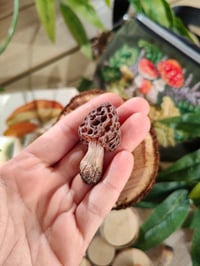 Image 11 of Grzybowe magnesy na lodówkę 