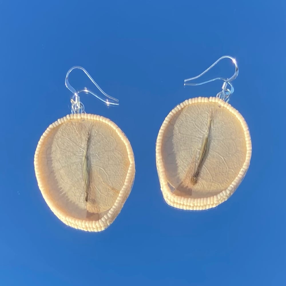 Image of Bougainvillea Petal Earrings - White