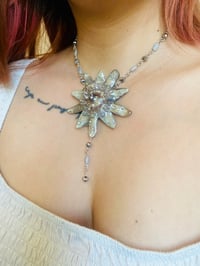 Image 7 of 🪩Disco Passiflora🪩