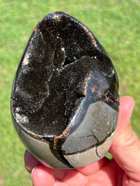 Image 6 of Septarian Nodule Polished Freeform | Madagascar #2900