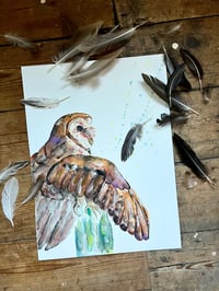 Image 2 of "Barn Owl" Original