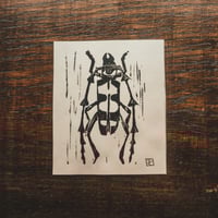 Image 1 of Rosalia