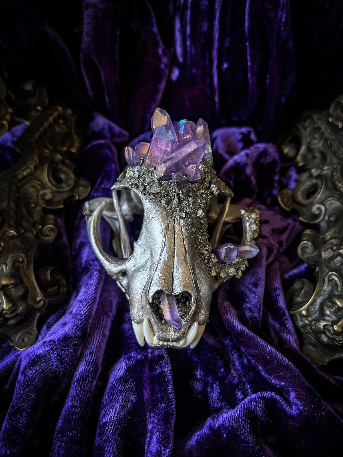 Lavender Aura Quartz - Bobcat Skull | Madame Macabre's House of