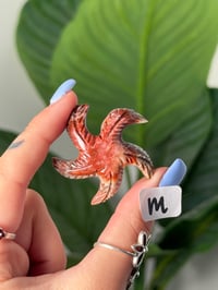 Image 13 of CHOOSE YOUR OWN MINI SOAPSTONE STARFISH