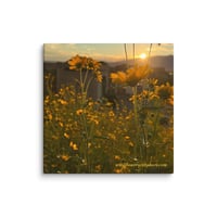 Image 1 of Wildflower Mountain Sunrise - 12” X 12” Canvas Print