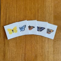 Image 2 of 5 Card Notelet/Greeting card set (Butterflies #2)