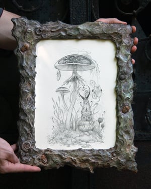 Symbiotics Drawing in Fossilized Frame