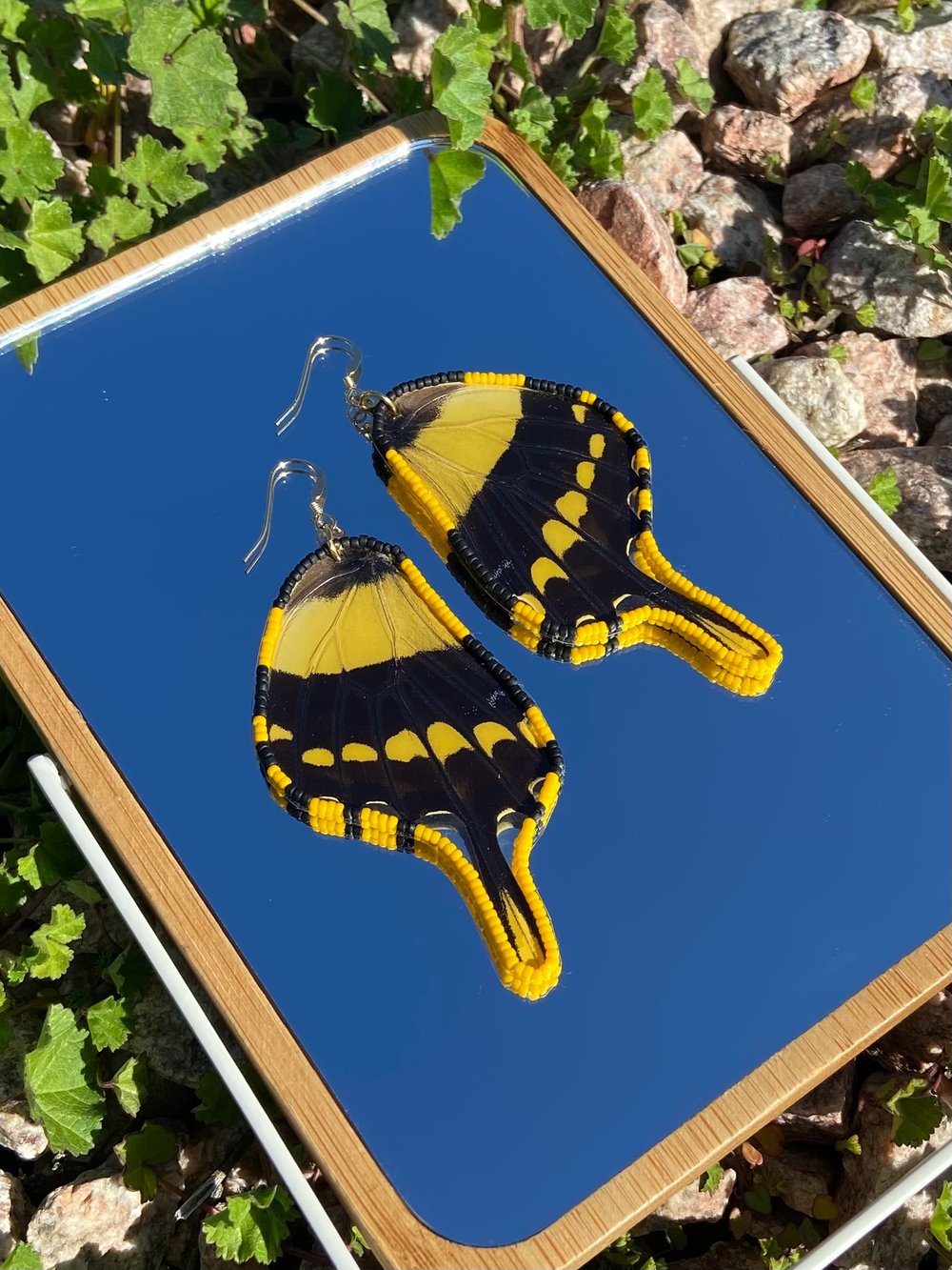 Image of Papilio thoas Wing Earrings
