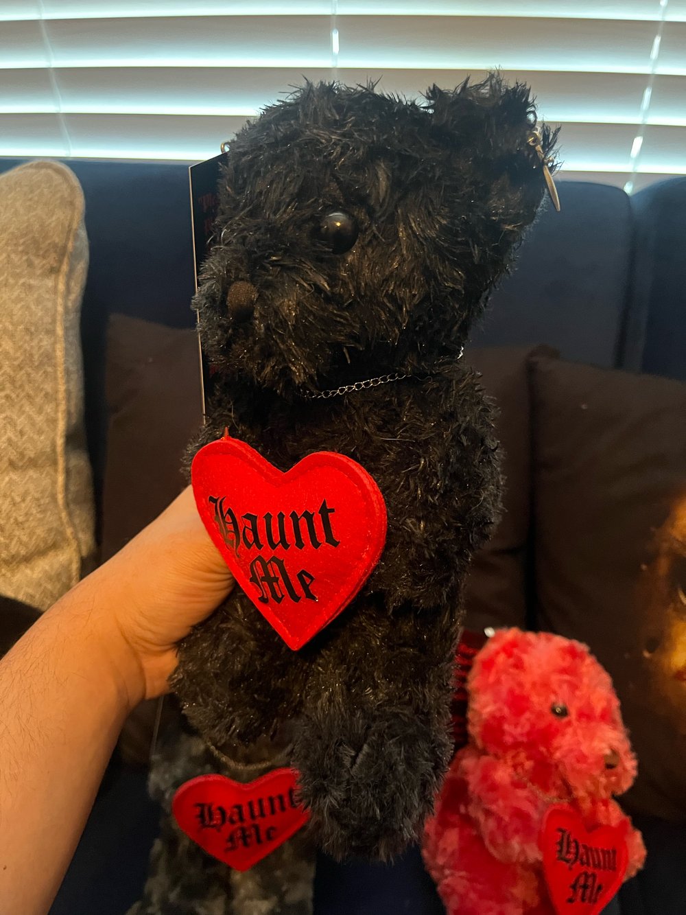 Limited Edition "Haunt Me" Teddy Bear