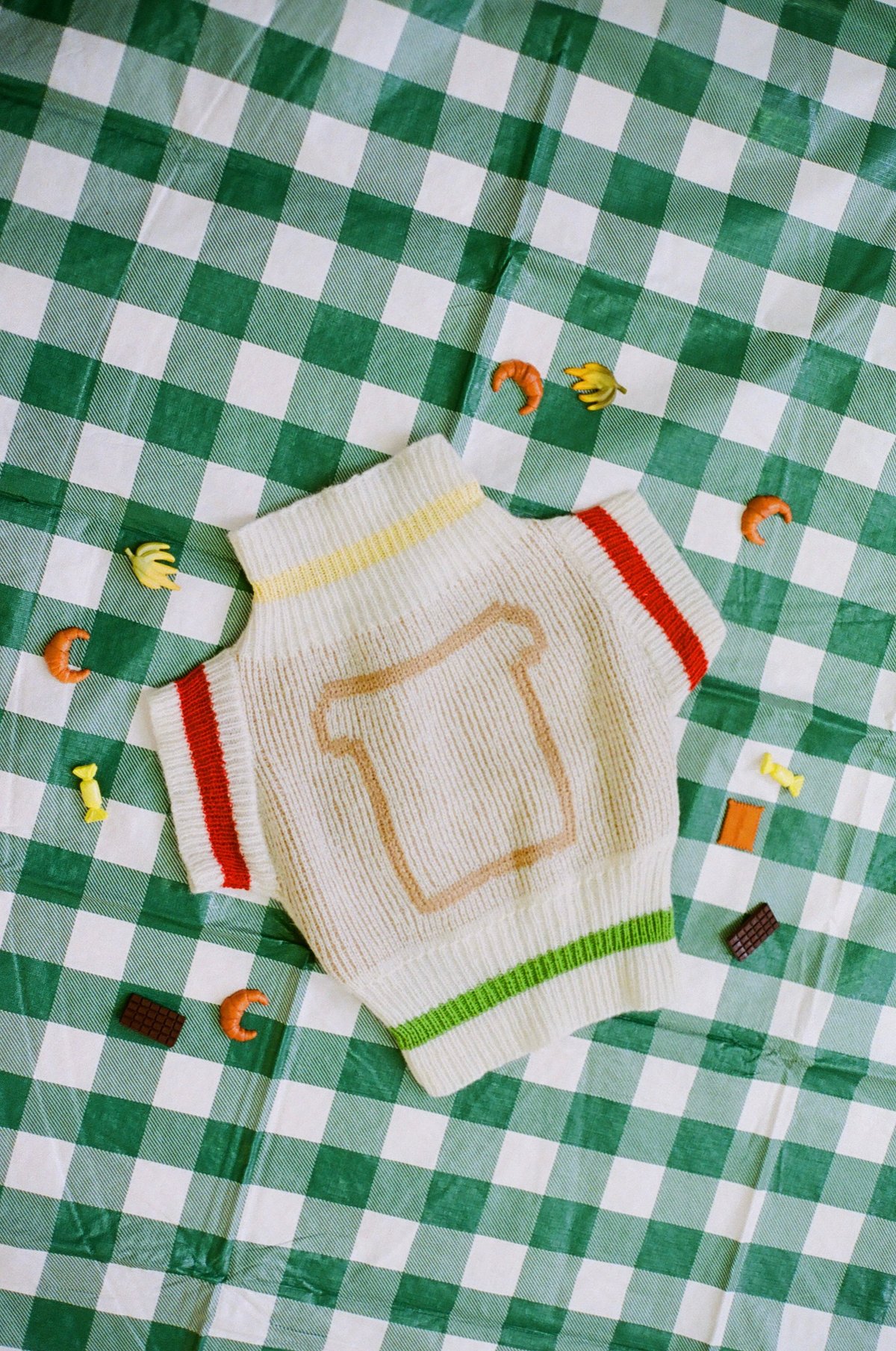 🥪 SANDWICH FILLING SWEATER AND POOCH SWEATER 