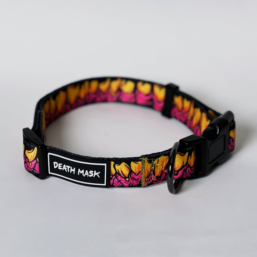 Image of Chompers dog collar 