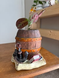 Image 4 of Prayer Plant in Pirate Barrel
