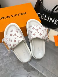 Image 8 of Lv Pillow Slides 