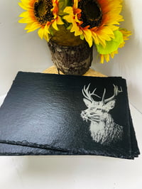 Image 4 of Slate Placemats