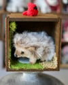 pipe cleaner miniature hedgehog with its wooden magnetic display