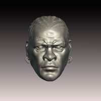 Image 1 of The Truth Unpainted 