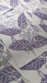 Image 4 of Metamorphosis