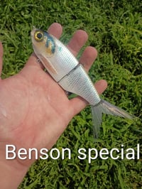 Image 2 of Smooth Snack Shad